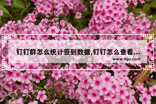钉钉群怎么统计签到数据,钉钉怎么查看群签到人数