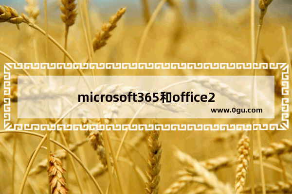 microsoft365和office2016区别,office365 2016区别