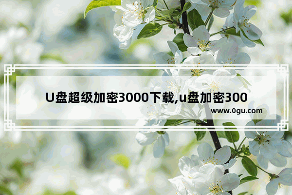 U盘超级加密3000下载,u盘加密3000安卓版