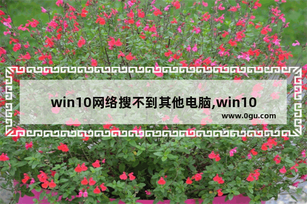 win10网络搜不到其他电脑,win10在网络上找不到其他电脑