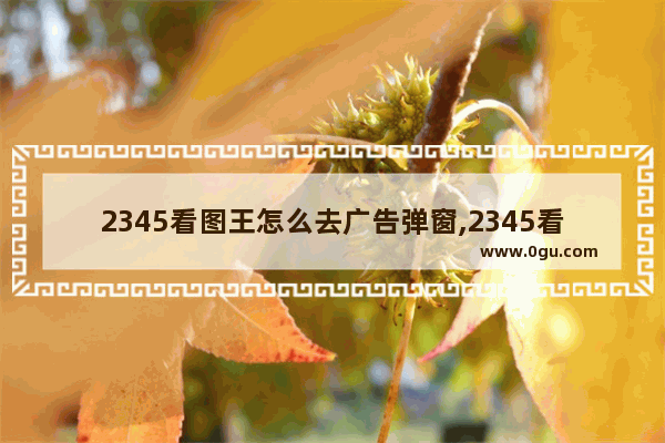 2345看图王怎么去广告弹窗,2345看图王怎么去广告视频