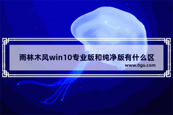 雨林木风win10专业版和纯净版有什么区别,雨林木风win10专业版