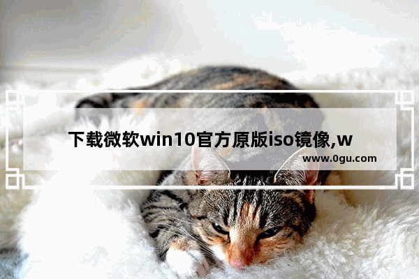 下载微软win10官方原版iso镜像,win10原版系统iso镜像下载