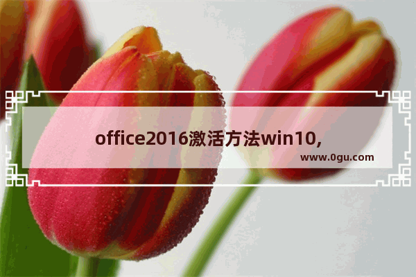 office2016激活方法win10,windows10专业版怎么激活office