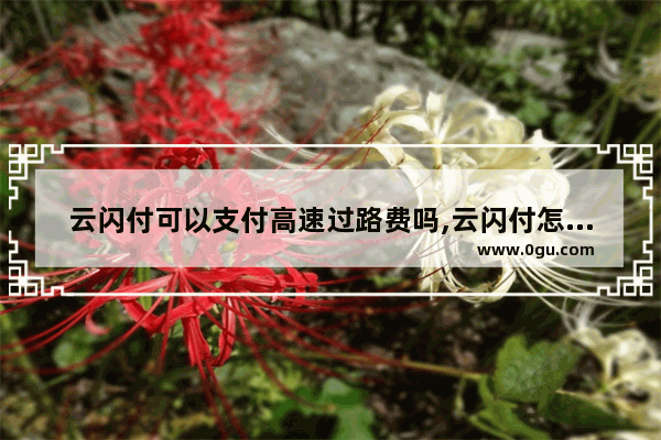 云闪付可以支付高速过路费吗,云闪付怎么交etc费