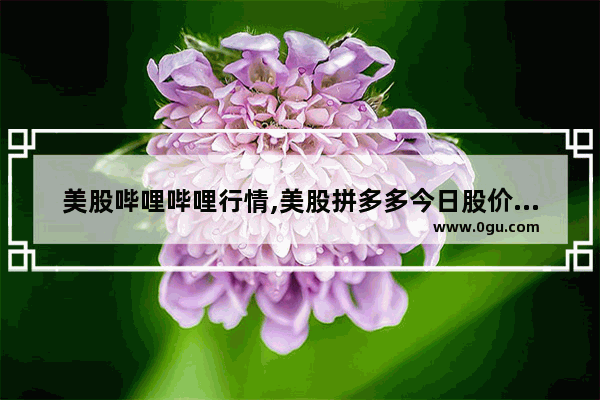 美股哔哩哔哩行情,美股拼多多今日股价收盘