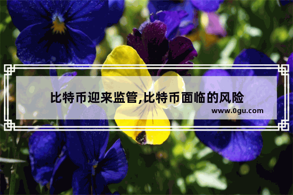 比特币迎来监管,比特币面临的风险