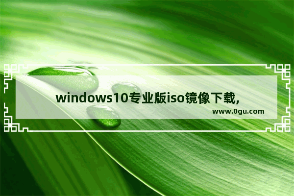 windows10专业版iso镜像下载,win10官方原版iso镜像安装