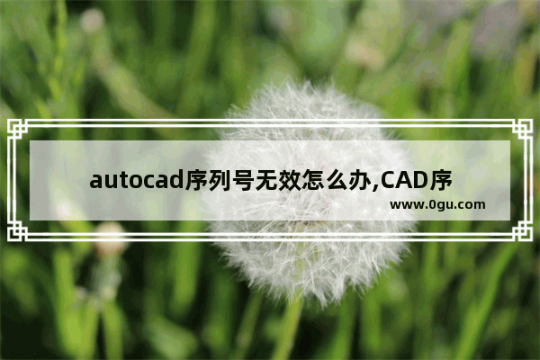autocad序列号无效怎么办,CAD序列号无效
