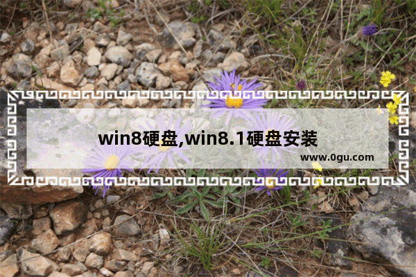 win8硬盘,win8.1硬盘安装