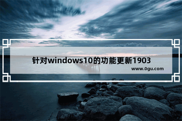针对windows10的功能更新1903,Win10 1903