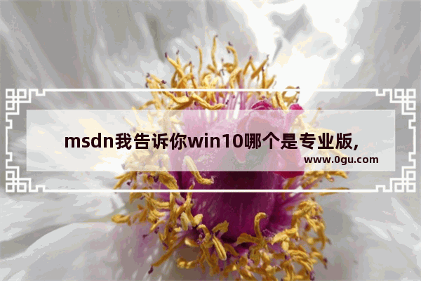 msdn我告诉你win10哪个是专业版,msdn我告诉你系统