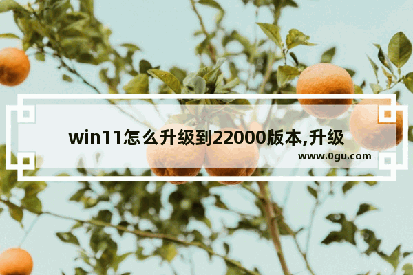 win11怎么升级到22000版本,升级windows11正式版