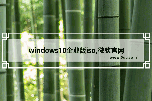 windows10企业版iso,微软官网下载win10企业版镜像