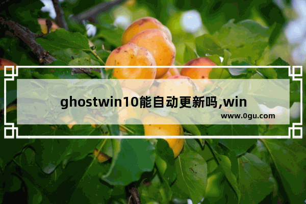 ghostwin10能自动更新吗,win10升级专业版多长时间