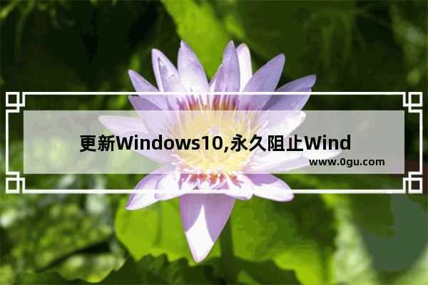 更新Windows10,永久阻止Windows10家庭版更新