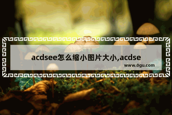 acdsee怎么缩小图片大小,acdsee5.0怎么批量改图片大小