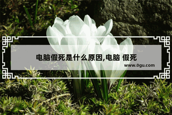 电脑假死是什么原因,电脑 假死