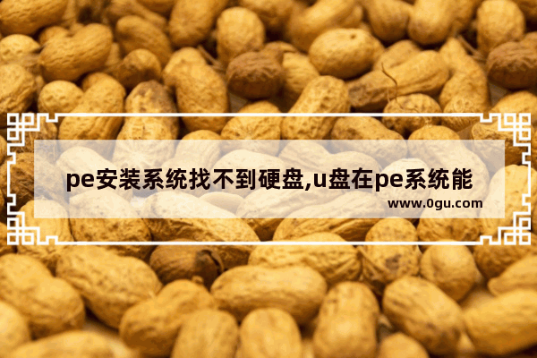 pe安装系统找不到硬盘,u盘在pe系统能正常使用,在win7找不到