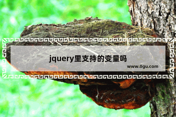 jquery里支持的变量吗