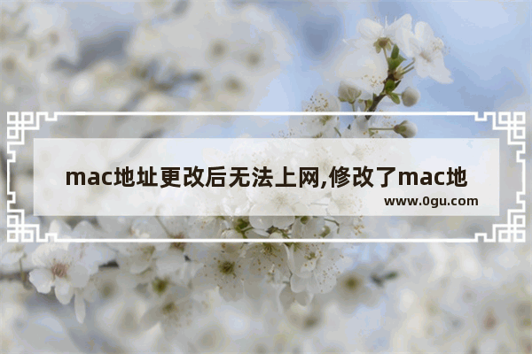 mac地址更改后无法上网,修改了mac地址上不了网