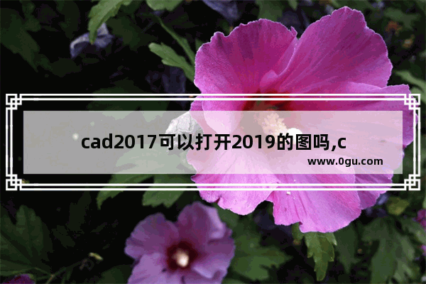 cad2017可以打开2019的图吗,cad快速看图2018