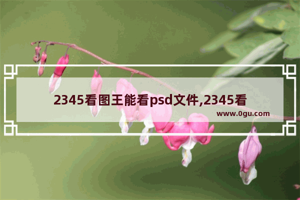 2345看图王能看psd文件,2345看图王可以看psd格式嘛