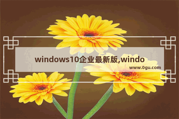 windows10企业最新版,windows10企业版下载