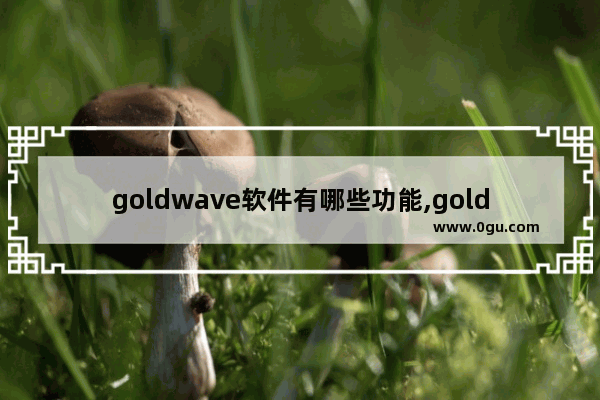 goldwave软件有哪些功能,goldwave手机版教程
