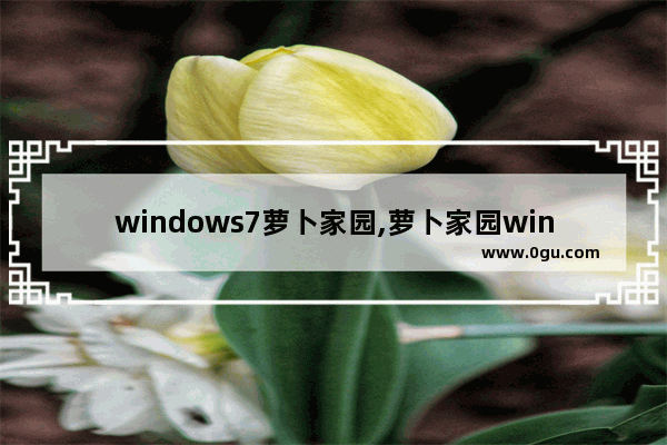 windows7萝卜家园,萝卜家园win7系统安装