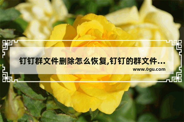 钉钉群文件删除怎么恢复,钉钉的群文件怎么删除