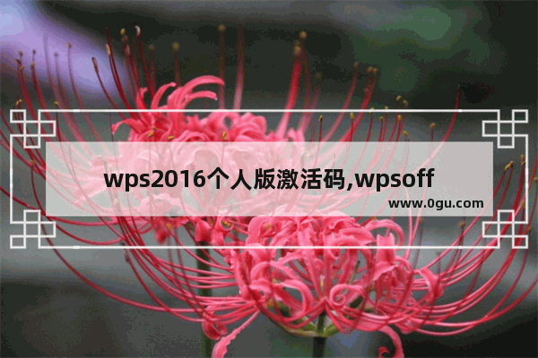 wps2016个人版激活码,wpsoffice个人版用激活码
