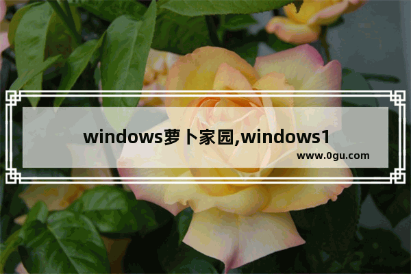 windows萝卜家园,windows10专业版32位