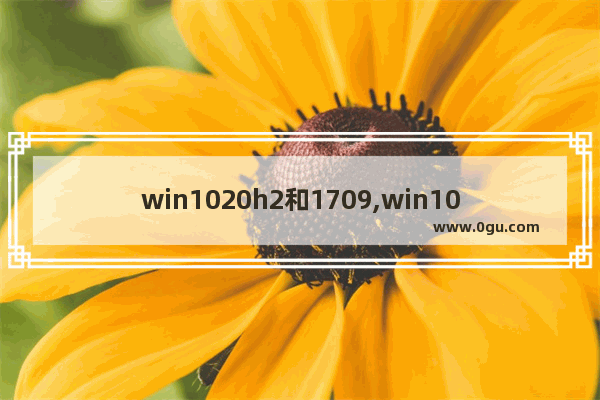 win1020h2和1709,win102021h
