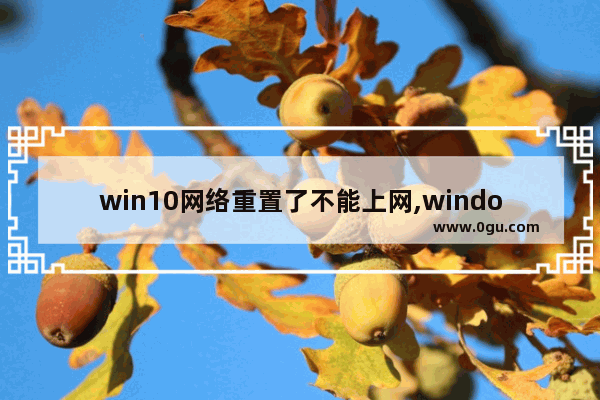 win10网络重置了不能上网,window10重置网络后连不上网