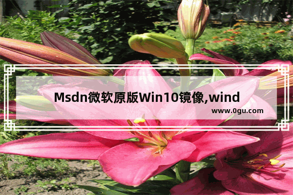 Msdn微软原版Win10镜像,windows10专业版iso镜像下载