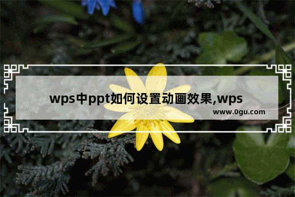 wps中ppt如何设置动画效果,wps ppt动画效果选项在哪里
