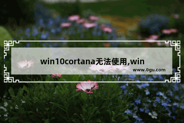 win10cortana无法使用,win10专业版cortana不支持中文怎么解决