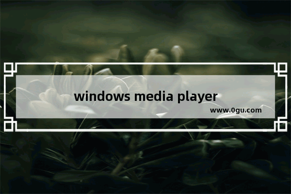 windows media player用不了怎么办,电脑media player无法播放