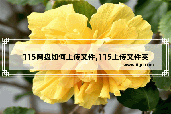 115网盘如何上传文件,115上传文件夹 在哪里
