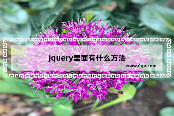 jquery里面有什么方法
