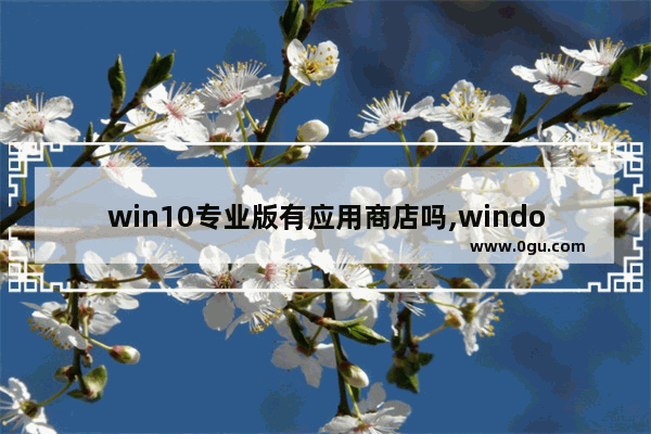 win10专业版有应用商店吗,windows10专业版应用商店