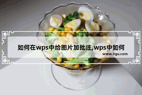 如何在wps中给图片加批注,wps中如何给图片加注释