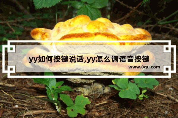 yy如何按键说话,yy怎么调语音按键