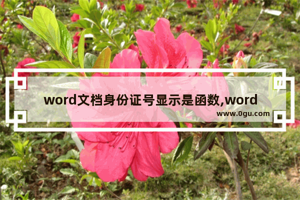 word文档身份证号显示是函数,word输身份证号码怎么是函数