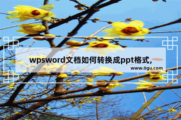 wpsword文档如何转换成ppt格式,如何把wps格式转化为ppt格式