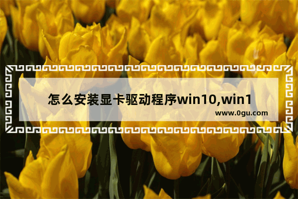 怎么安装显卡驱动程序win10,win10手动安装显卡驱动