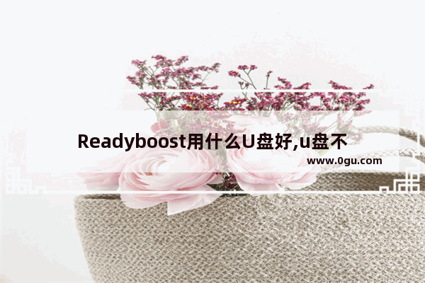 Readyboost用什么U盘好,u盘不支持readyboost