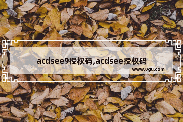 acdsee9授权码,acdsee授权码