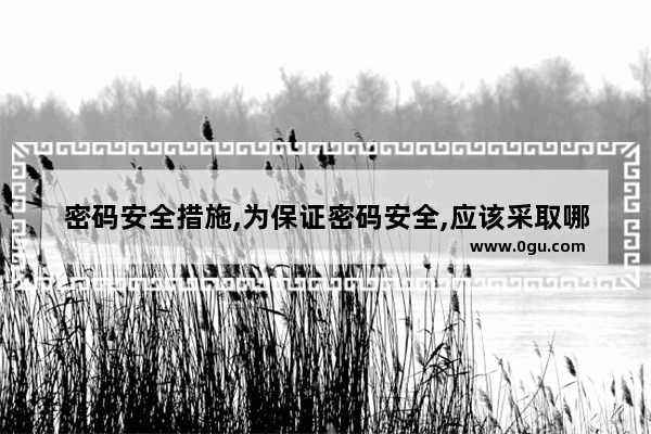 密码安全措施,为保证密码安全,应该采取哪些有效的措施